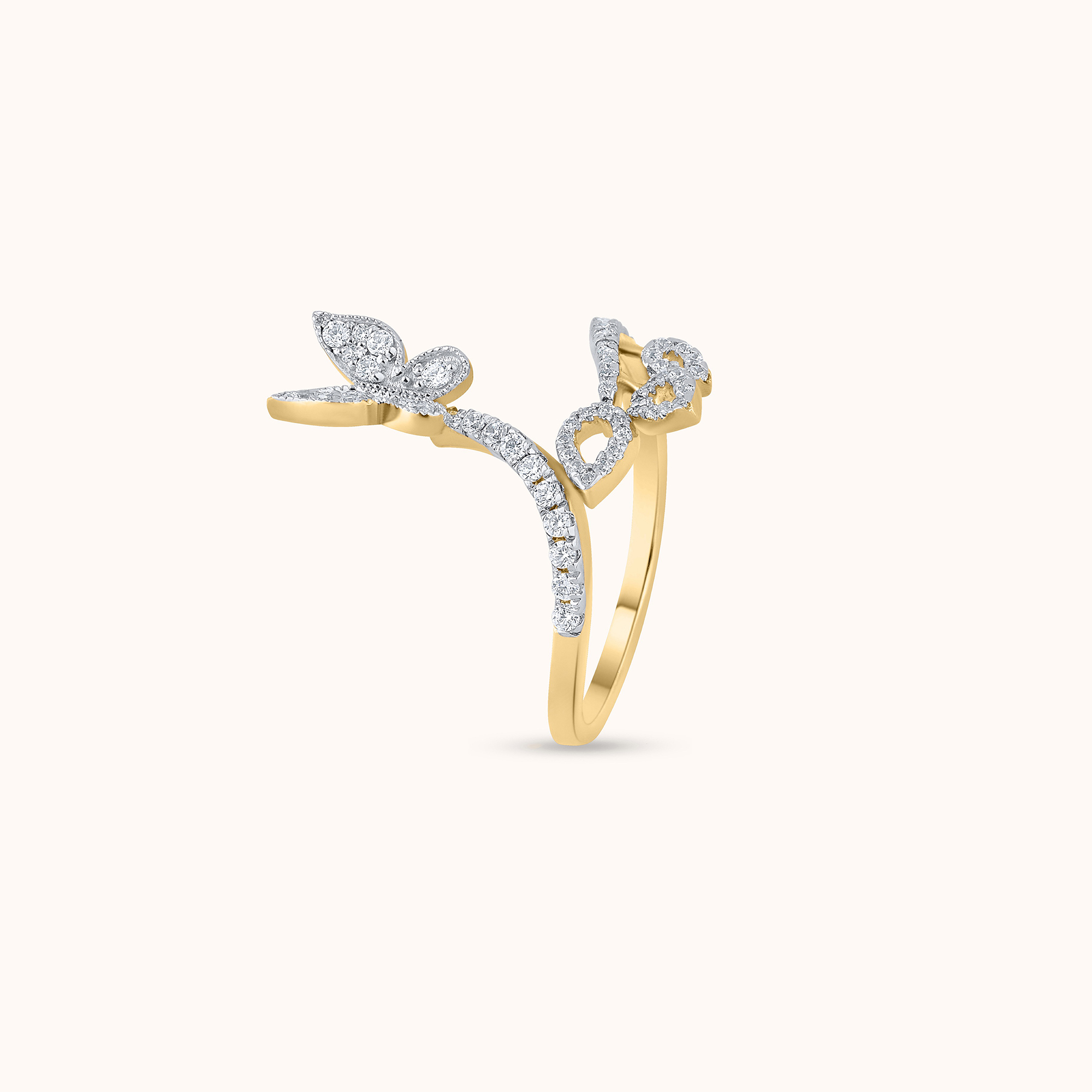 IMG-6605-G-Do9debgWqN-color-1