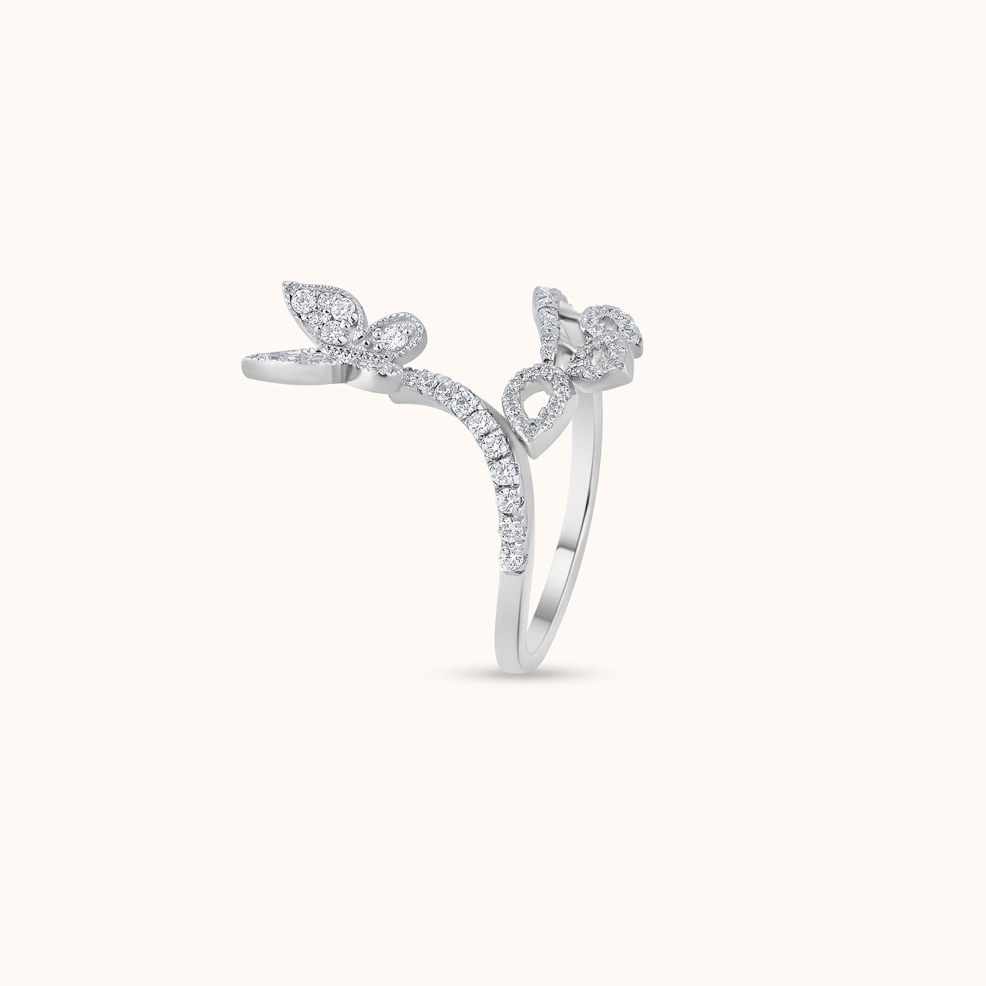 IMG-6605-S-Do9debgWqN-color-3