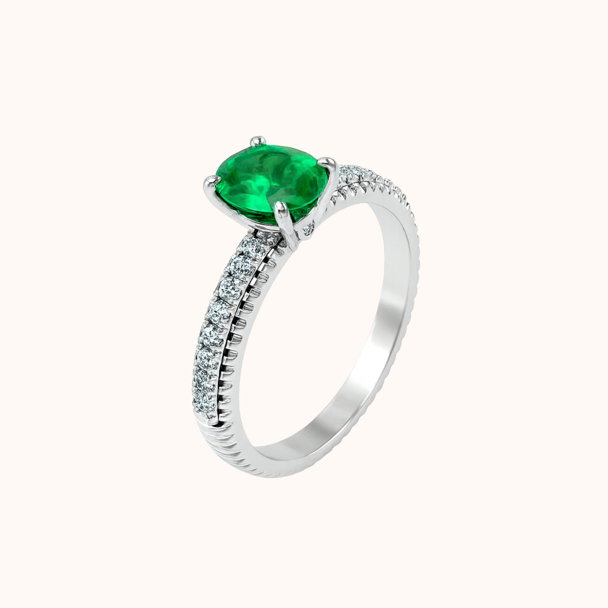 PRODUCT-PHOTO-dHowSiMCRA-color-3